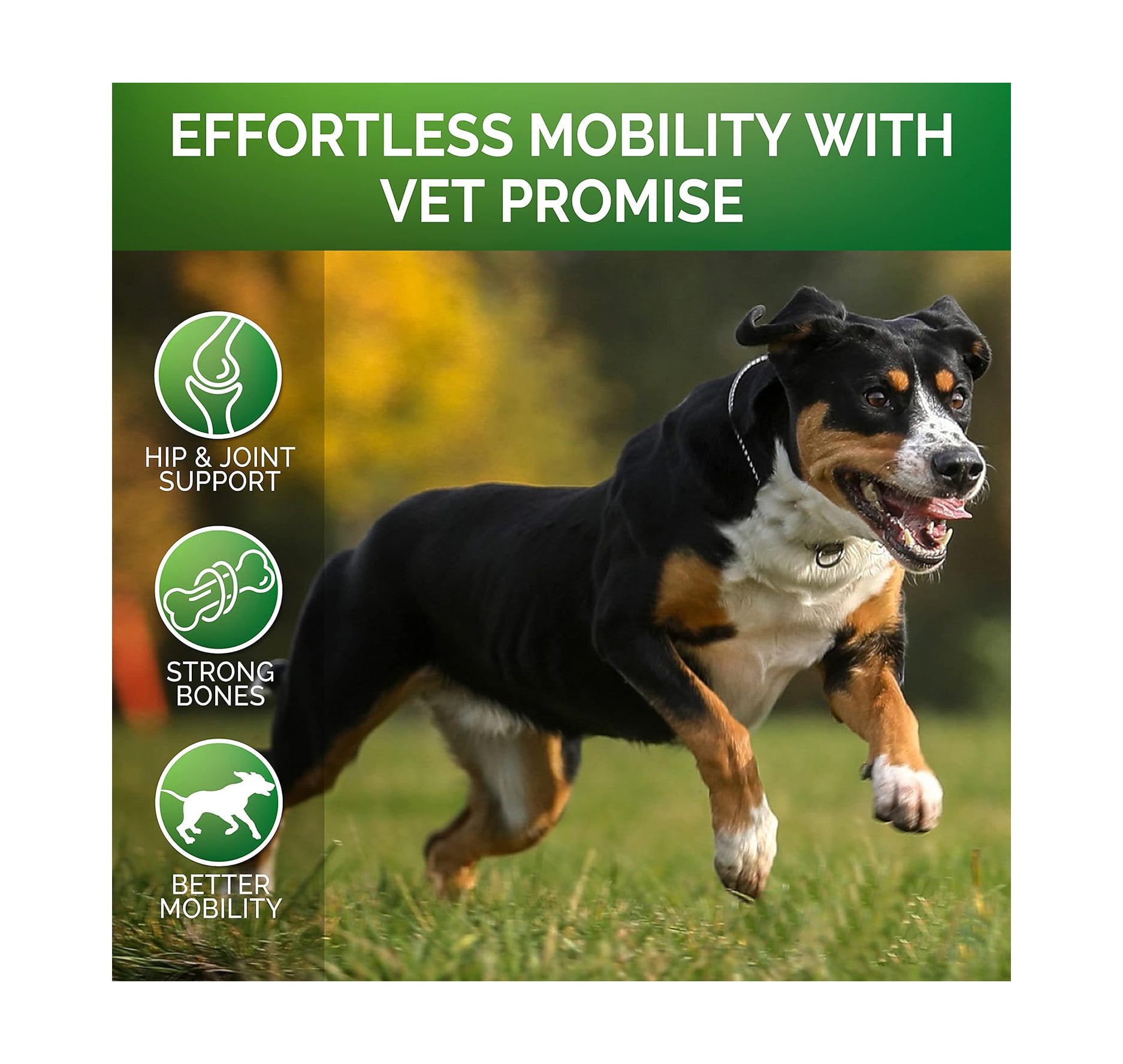 犬用葡萄糖胺高關節軟骨素咀嚼片 | Glucosamine Hip & Joint Chews (120粒)