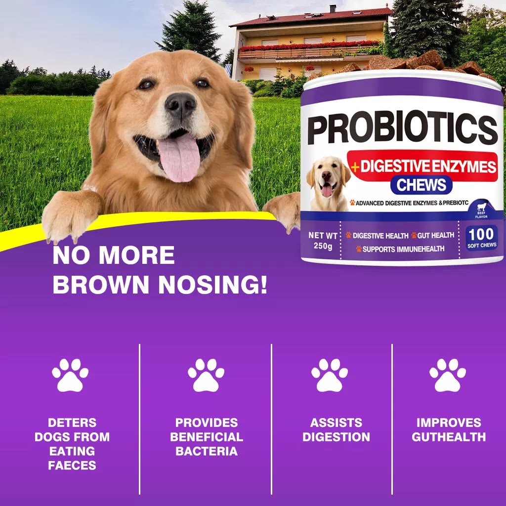犬用益生菌+消化酵素咀嚼片 | Probiotics + Digestive Enzymes Chews (100粒)