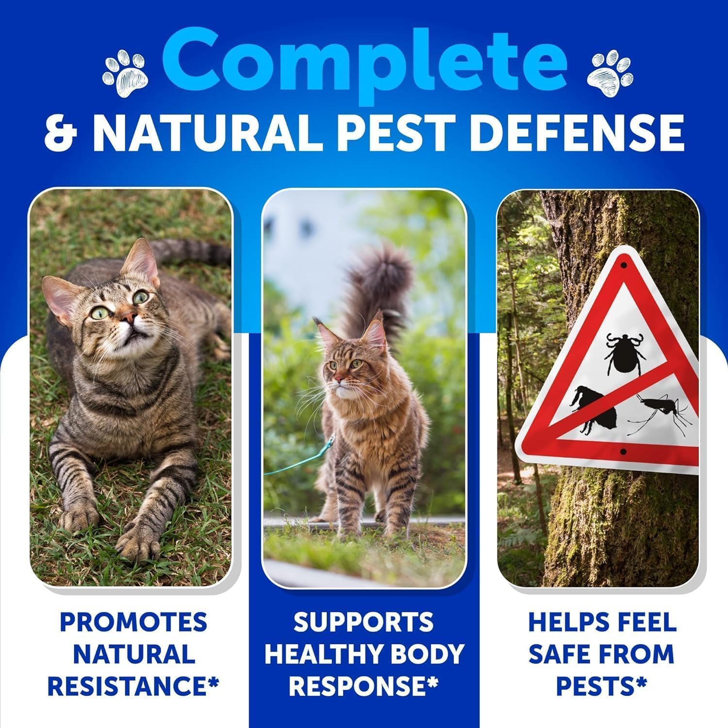 No More Fleas & Ticks - Key Benefits