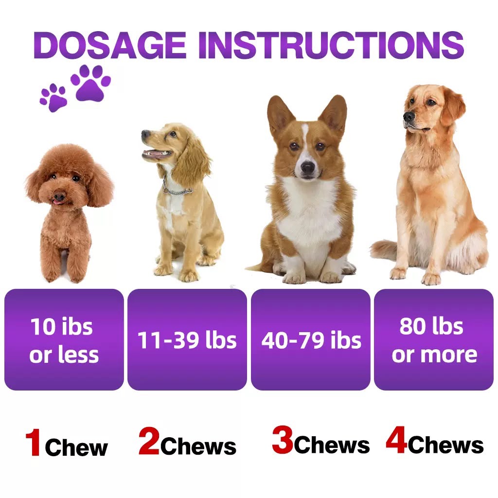 犬用益生菌+消化酵素咀嚼片 | Probiotics + Digestive Enzymes Chews (100粒)