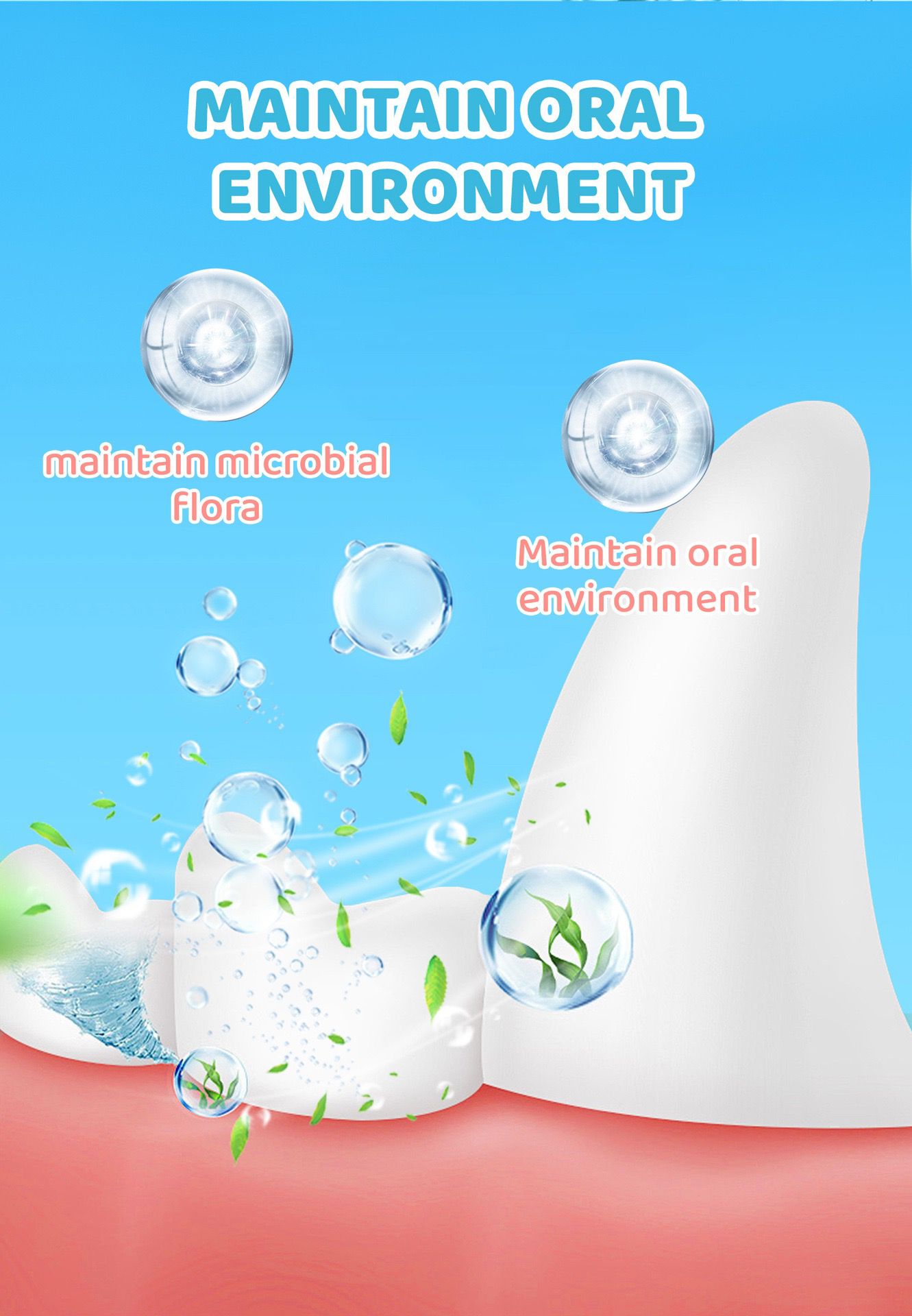 寵物益生菌漱口水 380ml - 清新口氣除牙垢 | 狗狗貓咪口腔護理
