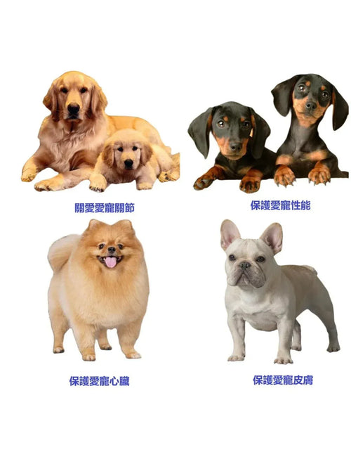 PetSally - 莎麗寵物夢之家-8合1多功能復合維生素咀嚼片 300g - 狗狗補鈣美毛腸胃心臟保健 - Sally Pet Dream House