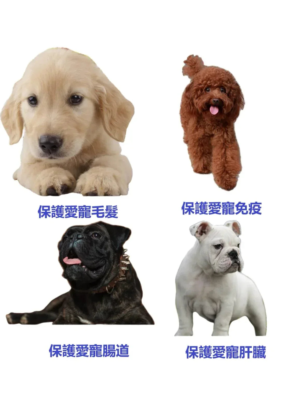 PetSally - 莎麗寵物夢之家-8合1多功能復合維生素咀嚼片 300g - 狗狗補鈣美毛腸胃心臟保健 - Sally Pet Dream House